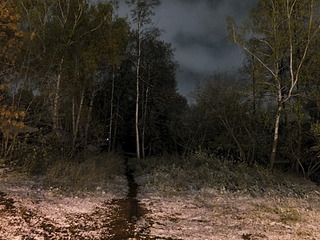 click for enlarge 1920 X 1440 737.3 Kb picture