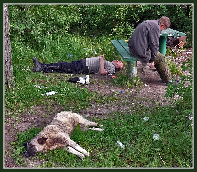 click for enlarge 709 X 622 170.0 Kb picture