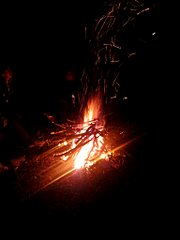 click for enlarge 1536 X 2048 193.9 Kb picture