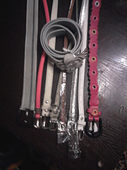 click for enlarge 1536 X 2048 621.4 Kb picture