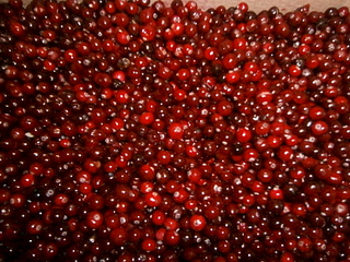 click for enlarge 1920 X 1440 1010.0 Kb picture