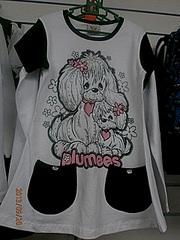 click for enlarge 240 X 320 29.2 Kb picture