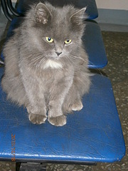 click for enlarge 1920 X 2560 402.3 Kb picture