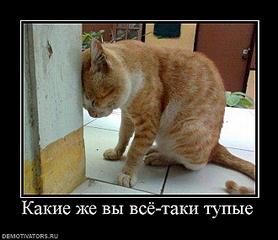 click for enlarge 660 X 569  46.1 Kb picture