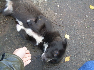 click for enlarge 1920 X 1440 715.4 Kb picture