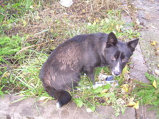 click for enlarge 1920 X 1440 713.2 Kb picture