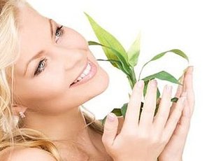 click for enlarge 496 X 358  22.6 Kb picture