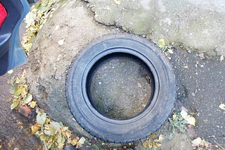 click for enlarge 1920 X 1280 701.4 Kb picture