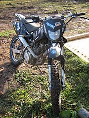 click for enlarge 1704 X 2272 821.6 Kb picture