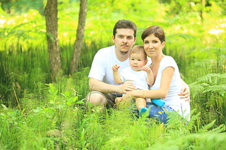 click for enlarge 1920 X 1280 229.2 Kb picture
