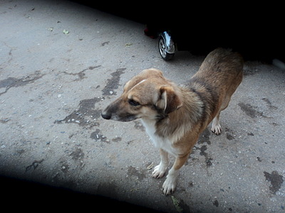 click for enlarge 1920 X 1440 551.7 Kb picture