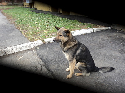 click for enlarge 1920 X 1440 693.1 Kb picture