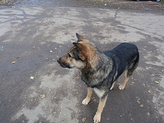 click for enlarge 1920 X 1440 769.9 Kb picture