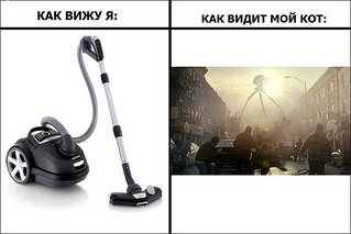 click for enlarge 604 X 403  34.9 Kb picture
