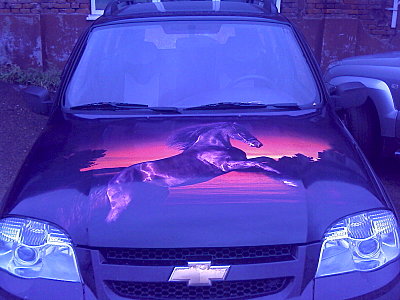 click for enlarge 1600 X 1200 314.3 Kb picture