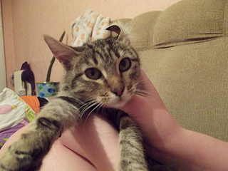 click for enlarge 1920 X 1440 176.6 Kb picture