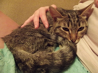 click for enlarge 1920 X 1440 204.8 Kb picture