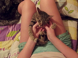 click for enlarge 1920 X 1440 189.5 Kb picture