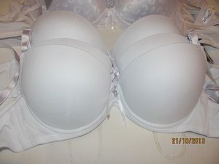 click for enlarge 1920 X 1440 411.8 Kb picture