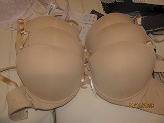 click for enlarge 1920 X 1440 428.6 Kb picture