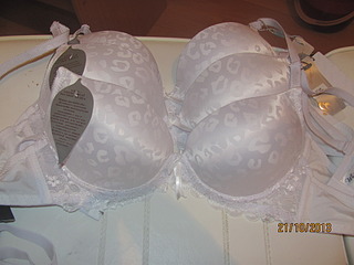 click for enlarge 1920 X 1440 471.0 Kb picture