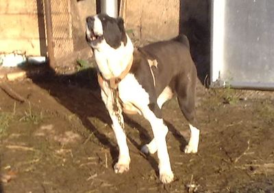 click for enlarge 708 X 501  54.2 Kb picture