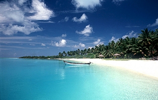 click for enlarge 700 X 444 196.7 Kb picture