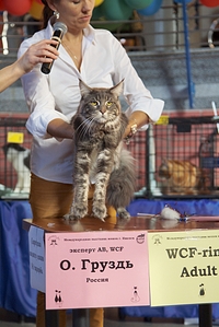 click for enlarge 683 X 1024 492.1 Kb picture