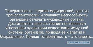 click for enlarge 604 X 305 25.7 Kb picture