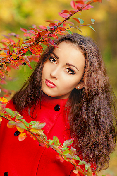 click for enlarge 800 X 1200 902.1 Kb picture