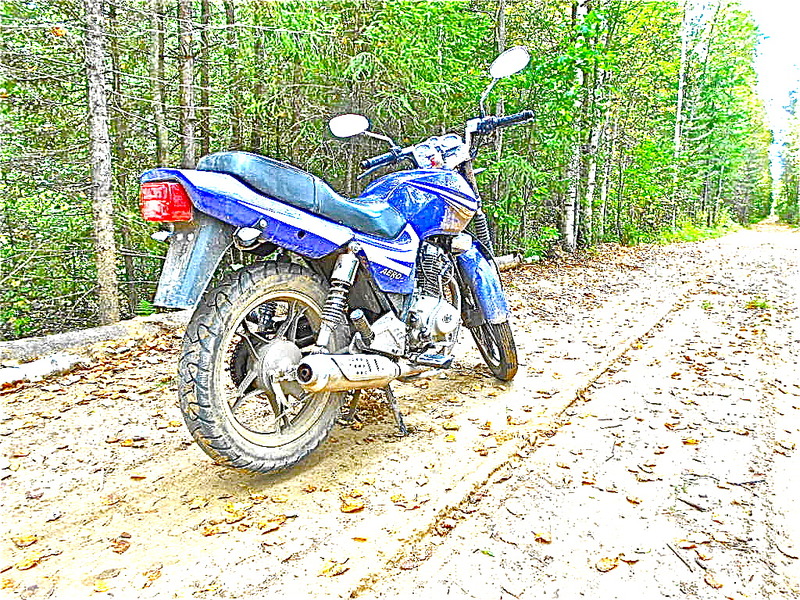 click for enlarge 1024 X 768 828.5 Kb picture