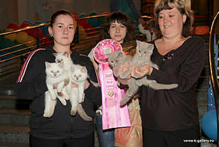 click for enlarge 750 X 506 118.2 Kb picture