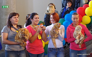 click for enlarge 750 X 463 104.1 Kb picture