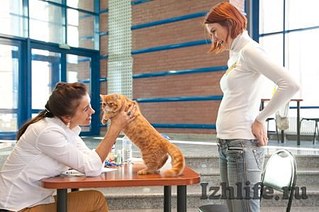 click for enlarge 450 X 299 33.7 Kb picture