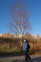 click for enlarge 800 X 1200 379.9 Kb picture