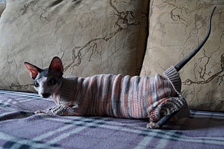 click for enlarge 1523 X 1012 637.8 Kb picture