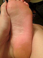 click for enlarge 360 X 480 17.8 Kb picture