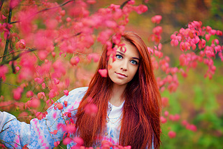 click for enlarge 800 X 533 409.0 Kb picture