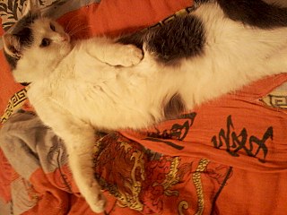 click for enlarge 1280 X 960 201.5 Kb picture