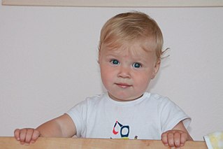 click for enlarge 1280 X 853  82.6 Kb picture