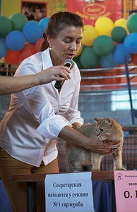 click for enlarge 664 X 1024 488.7 Kb picture