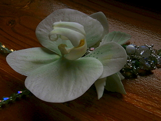 click for enlarge 800 X 600 231.6 Kb picture