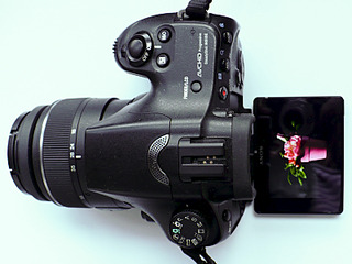 click for enlarge 800 X 600 309.7 Kb picture