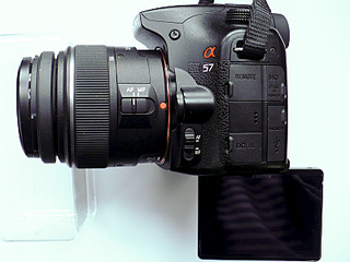 click for enlarge 800 X 600 318.6 Kb picture