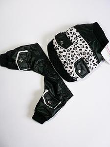 click for enlarge 700 X 933 50.1 Kb picture