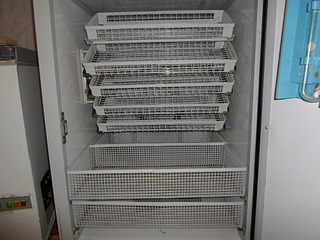 click for enlarge 1024 X 768 310.5 Kb picture