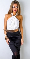 click for enlarge 164 X 320 37.0 Kb picture
