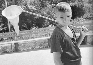 click for enlarge 500 X 350  36.7 Kb picture