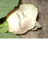 click for enlarge 1792 X 2736 520.3 Kb picture