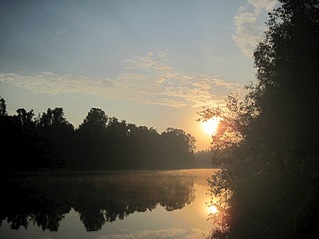 click for enlarge 807 X 605  90.7 Kb picture